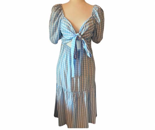 Blue & White Gingham Maxi Dress