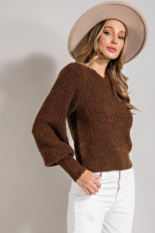 Soft Fuzzy Sweater With Puffed Sleeves in Brown
